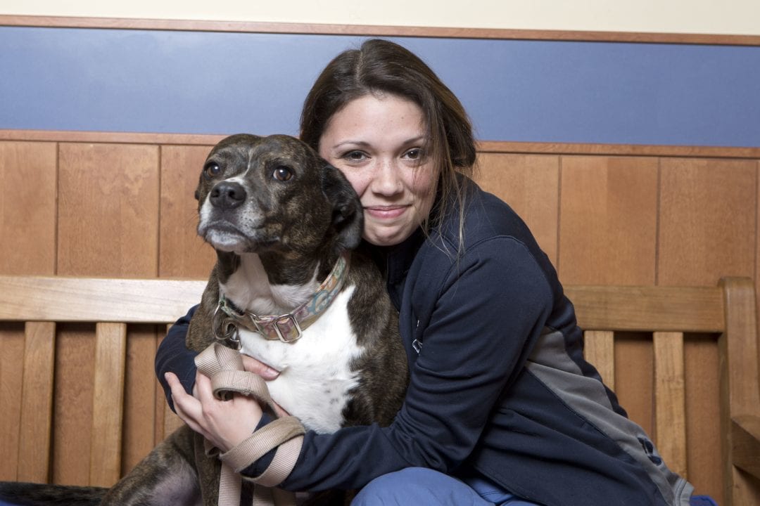 to Dedham Veterinary Associates Dedham, MA 02026 Vet