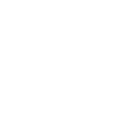 991707-256